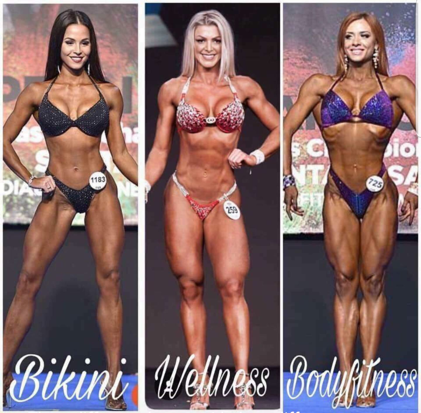 Zaia_Zolotaia - Wellness Lady - Бодибилдинг форум AnabolicShops
