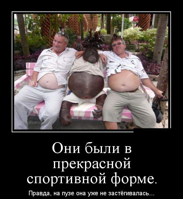 Farma-sklad надежный магазин - Бодибилдинг форум AnabolicShops
