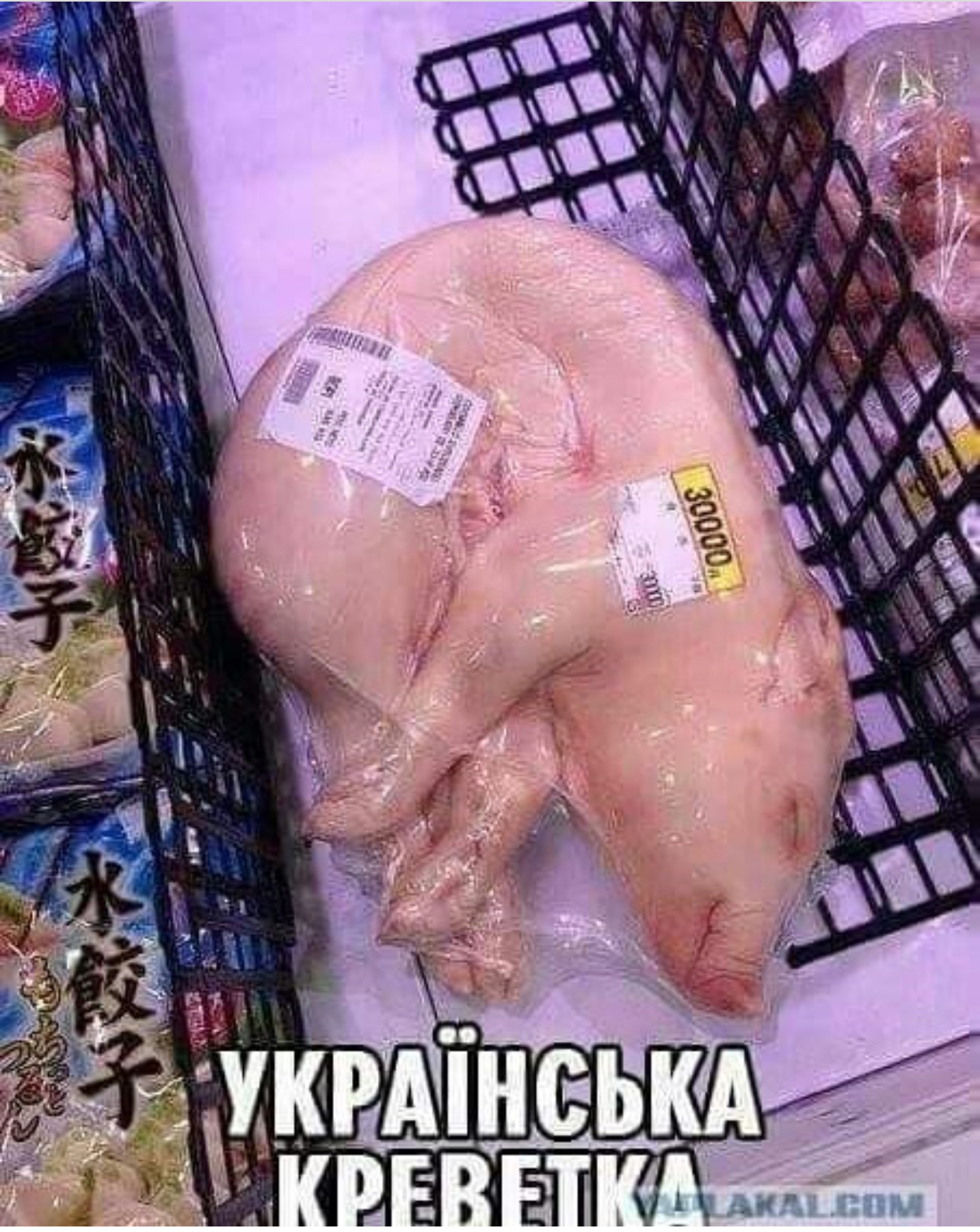 Курилка- разговоры на любые темы - Бодибилдинг форум AnabolicShops