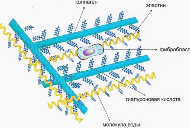 Sterostore.xyz -  Магазин низких цен. - Бодибилдинг форум AnabolicShops