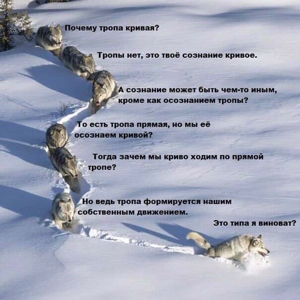 Курилка- разговоры на любые темы - Бодибилдинг форум AnabolicShops