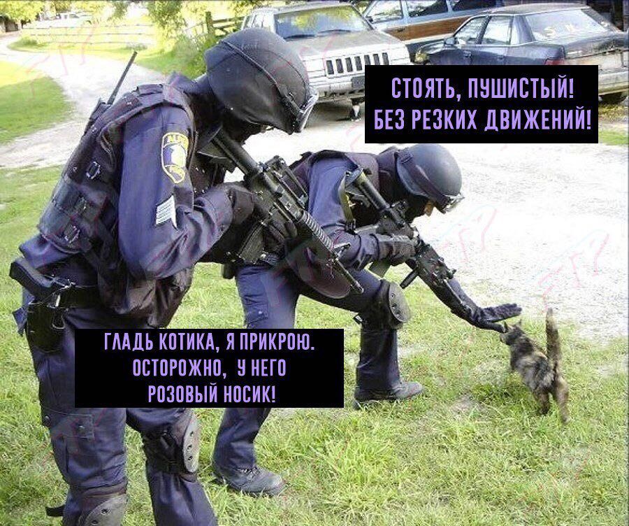 Приколюшные картинки - Бодибилдинг форум AnabolicShops