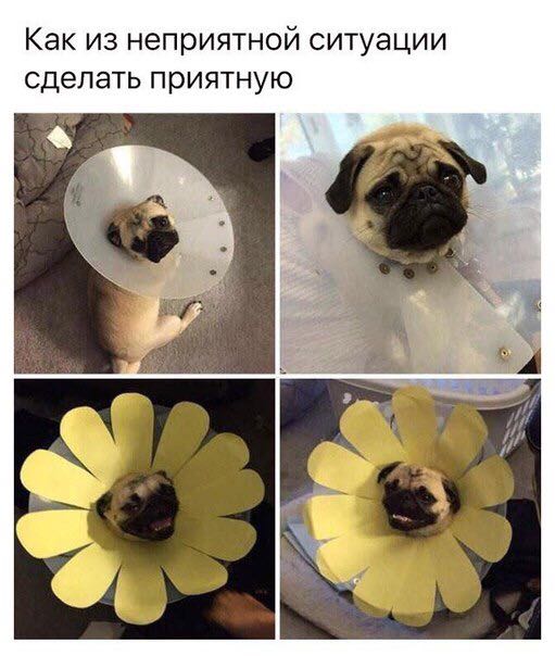 Приколюшные картинки - Бодибилдинг форум AnabolicShops