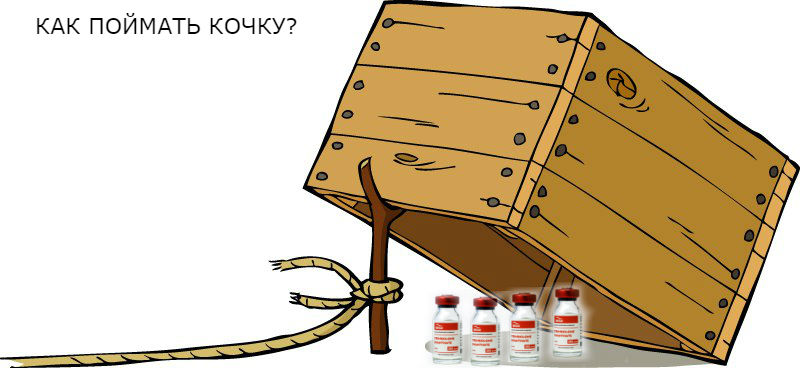 ERGO представляет - Противостояние мемов! - Бодибилдинг форум AnabolicShops