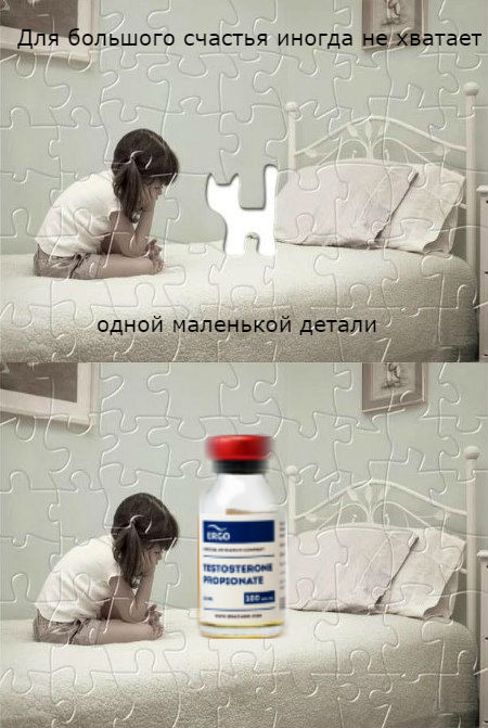 ERGO представляет - Противостояние мемов! - Бодибилдинг форум AnabolicShops