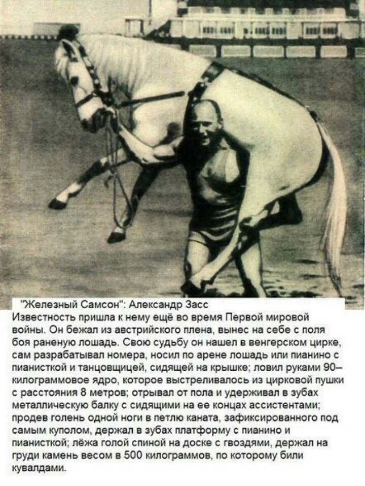 Sterostore.xyz -  Магазин низких цен. - Бодибилдинг форум AnabolicShops