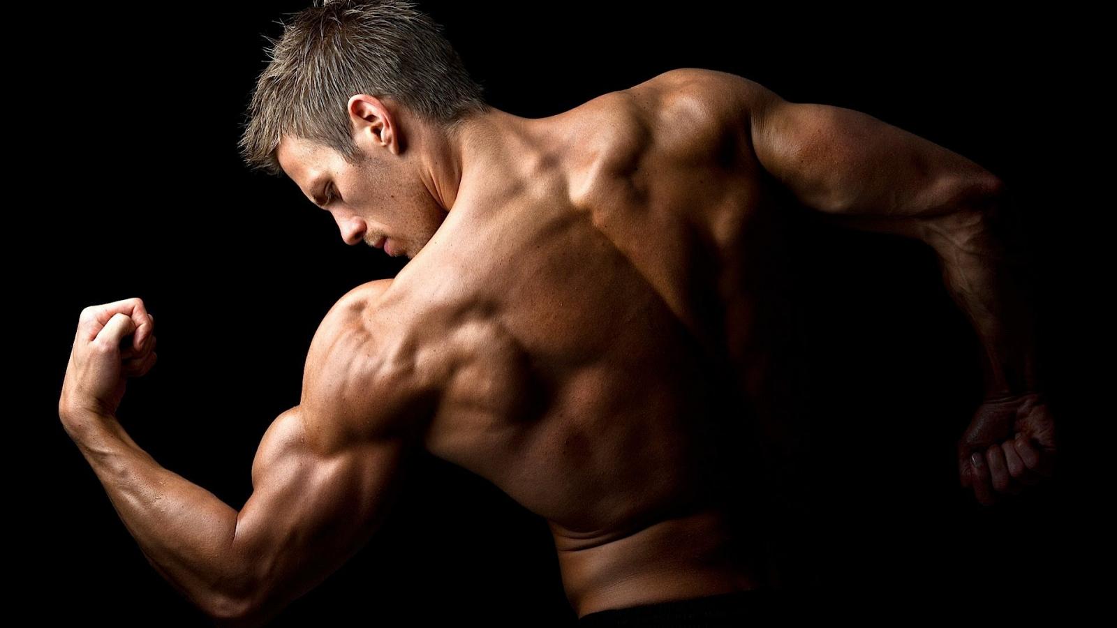 Цинк - Бодибилдинг форум AnabolicShops