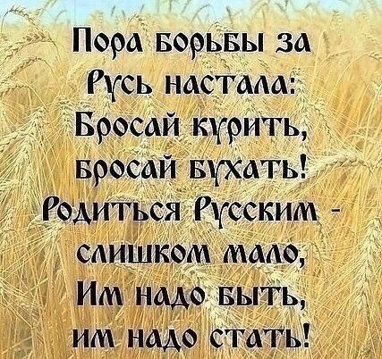 Трансформация духа ..Второе дыхание. . - Бодибилдинг форум AnabolicShops