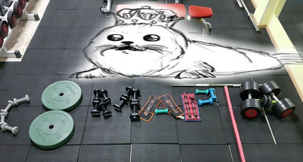Пляжник за 5 недель - Бодибилдинг форум AnabolicShops
