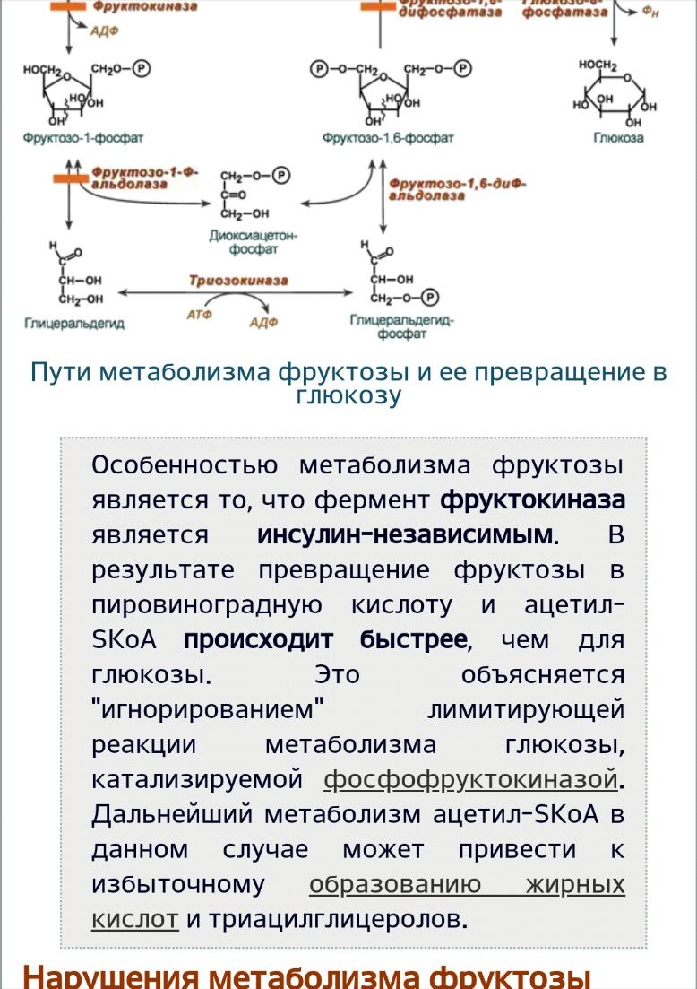 Жирные против Эстетов|V2... Обсуждение! Стеб! Шутки за 50 - Бодибилдинг форум AnabolicShops