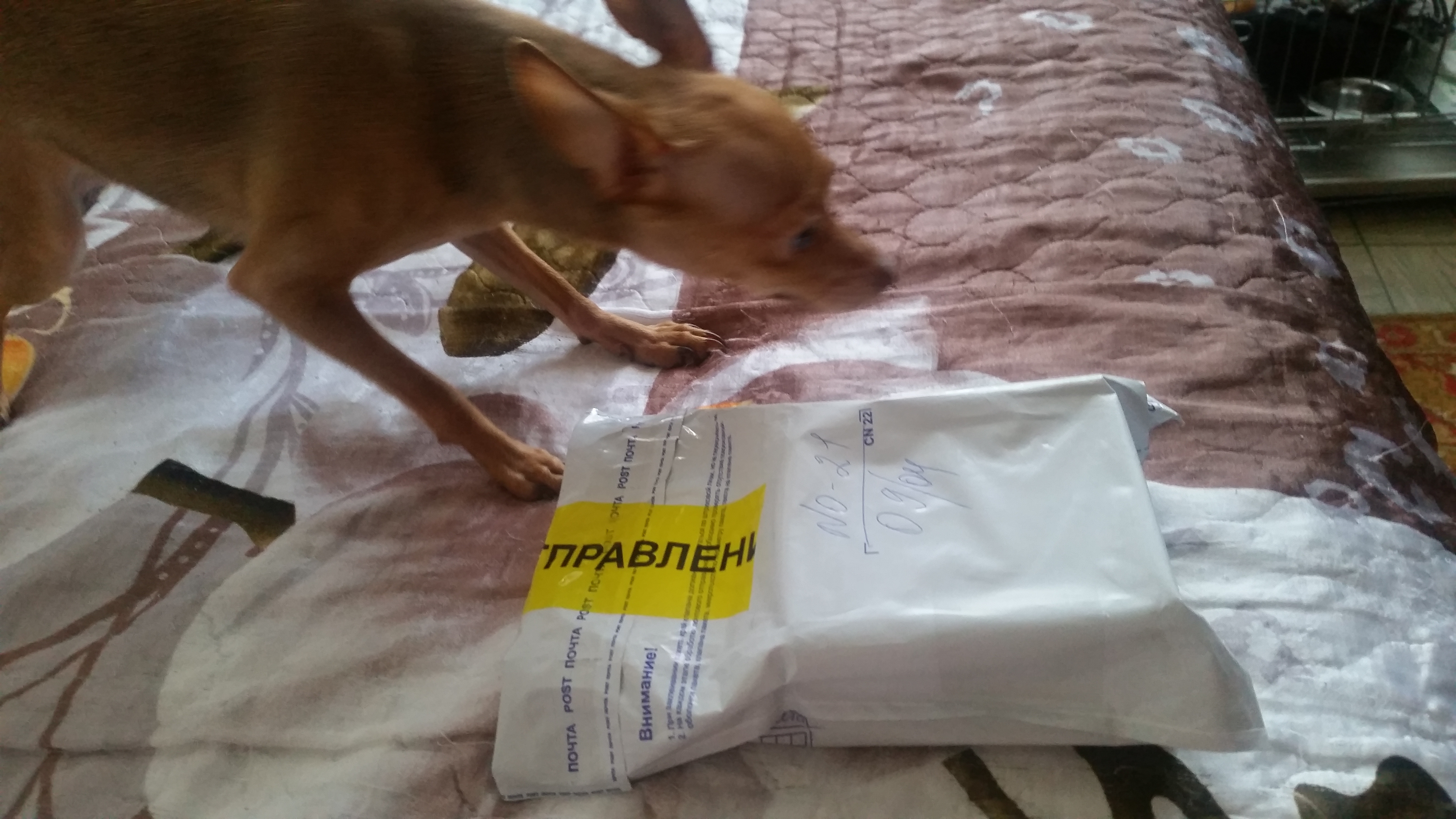 StoreGenerics.ru-Дженерики-все для ПКТ - Бодибилдинг форум AnabolicShops
