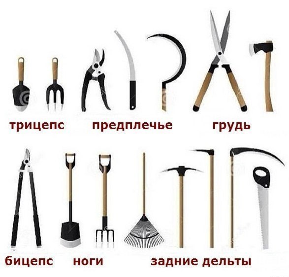 Sterostore.xyz -  Магазин низких цен. - Бодибилдинг форум AnabolicShops