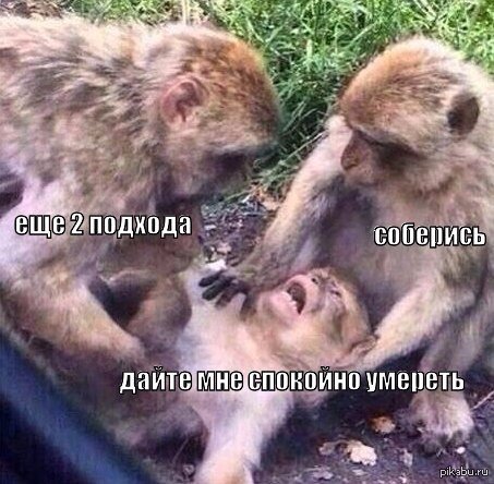 StoreGenerics.ru-Дженерики-все для ПКТ - Бодибилдинг форум AnabolicShops