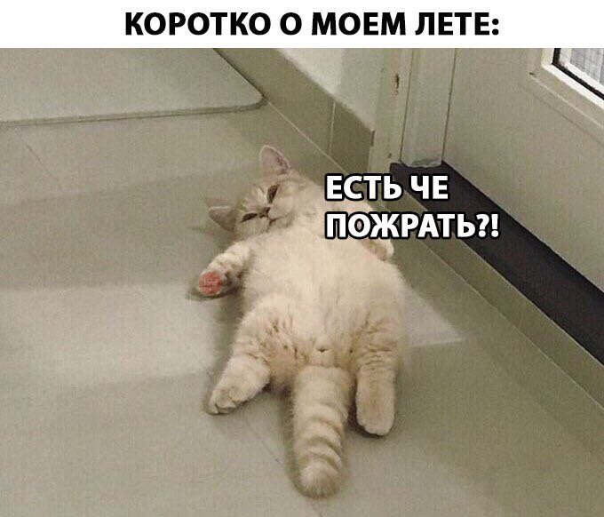Конкурс для клана МСК  про лето ☼ 24000руб - Бодибилдинг форум AnabolicShops