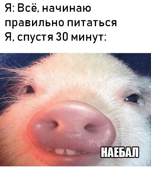 TeslaShop.biz - Бодибилдинг форум AnabolicShops