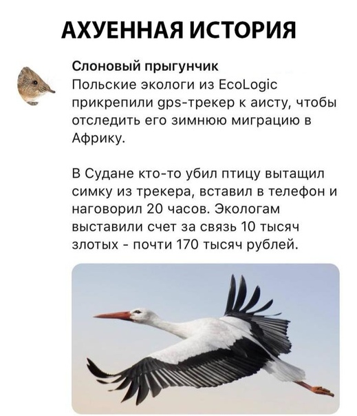 Анекдоты обо всем - Бодибилдинг форум AnabolicShops
