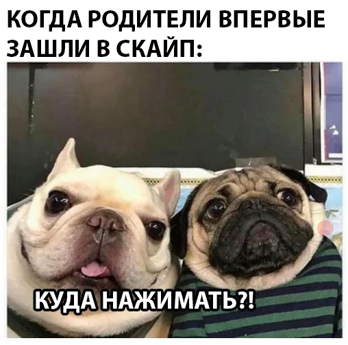 Курилка- разговоры на любые темы - Бодибилдинг форум AnabolicShops