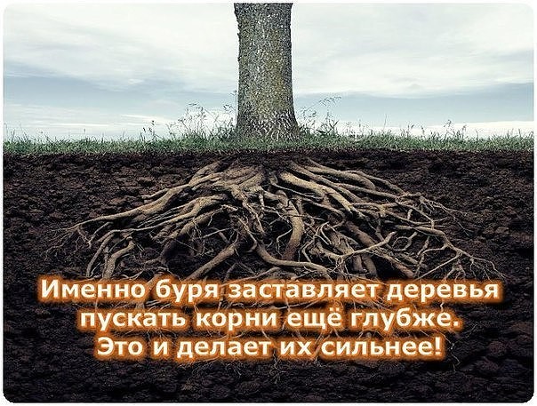 Курилка- разговоры на любые темы - Бодибилдинг форум AnabolicShops