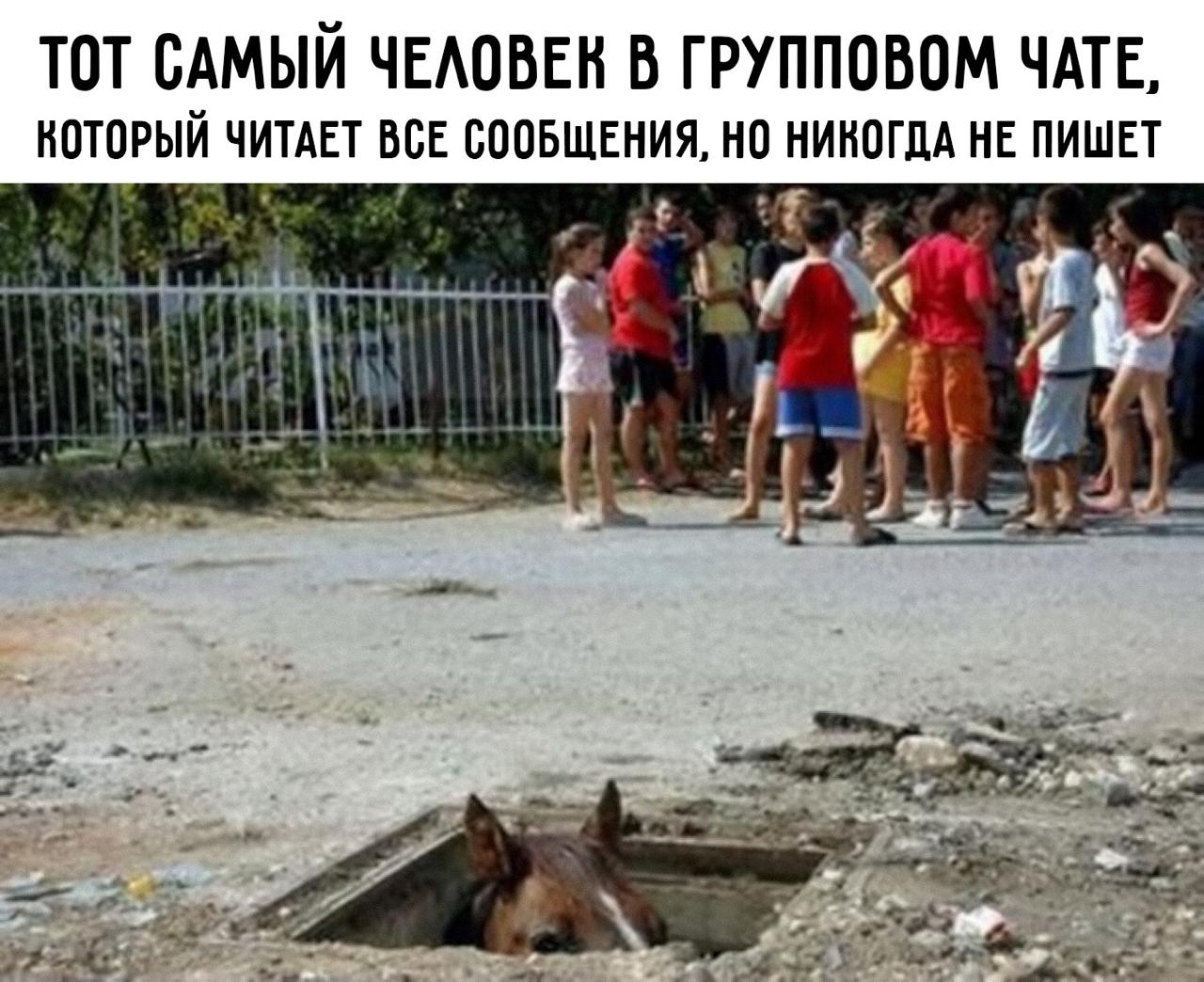 Курилка- разговоры на любые темы - Бодибилдинг форум AnabolicShops