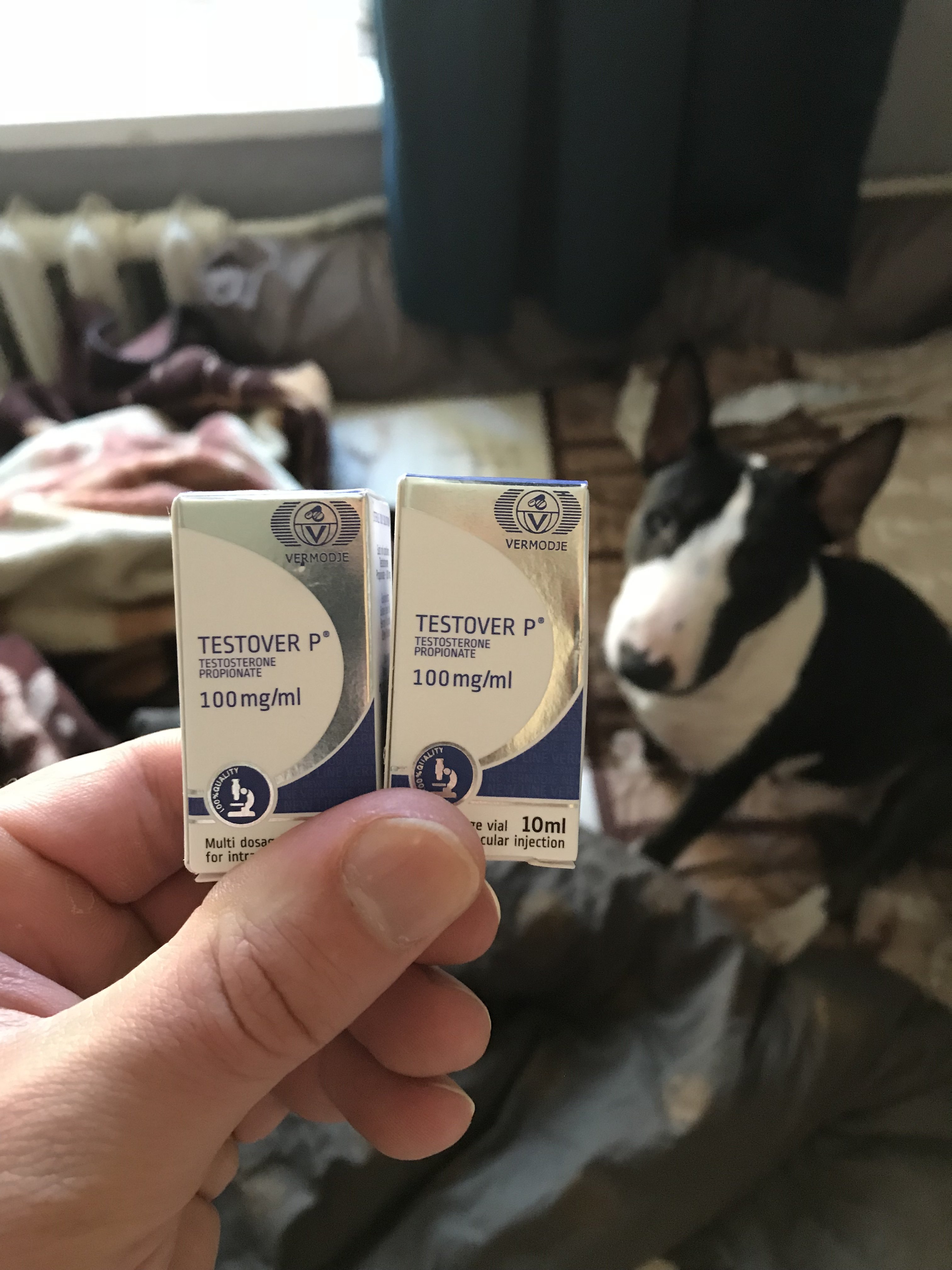 bestpharma.life - Бодибилдинг форум AnabolicShops