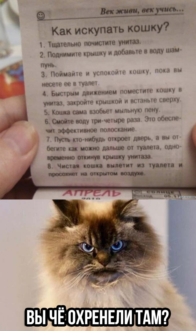 Анекдоты обо всем - Бодибилдинг форум AnabolicShops
