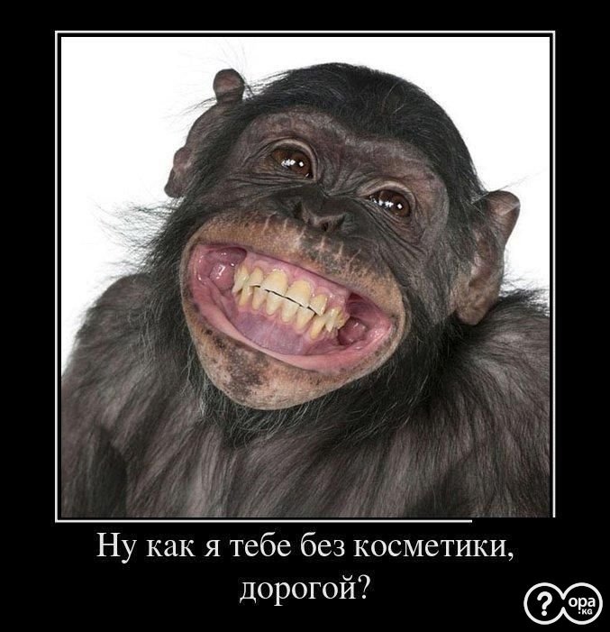 ✌ Курилка ⓂⒸⓀпоболтать обо всем  ☕ - Бодибилдинг форум AnabolicShops