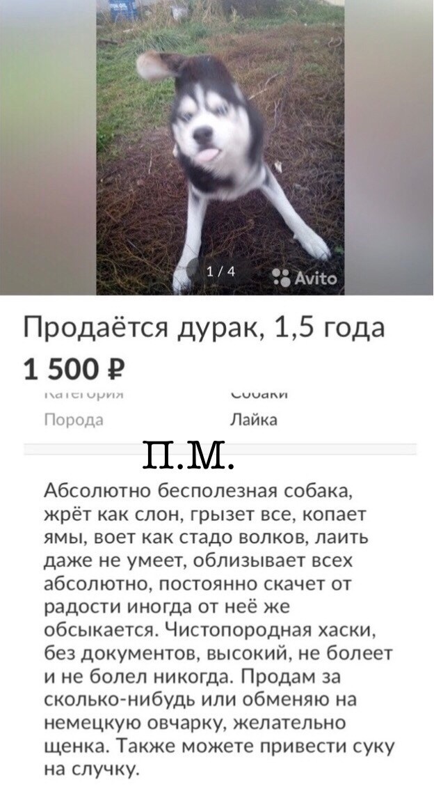 Анекдоты обо всем - Бодибилдинг форум AnabolicShops