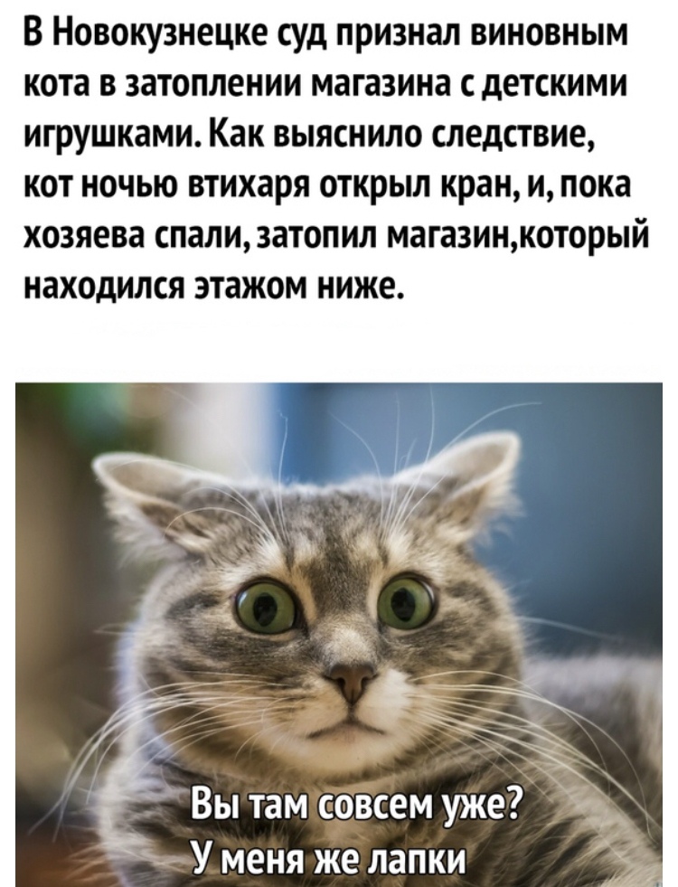 Курилка- разговоры на любые темы - Бодибилдинг форум AnabolicShops