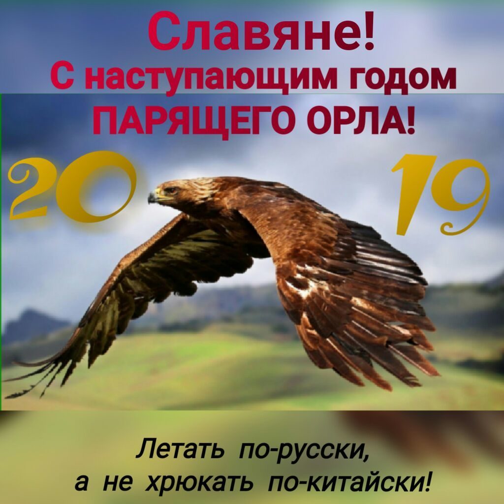 Поздравляем с НОВЫМ ГОДОМ! - Бодибилдинг форум AnabolicShops