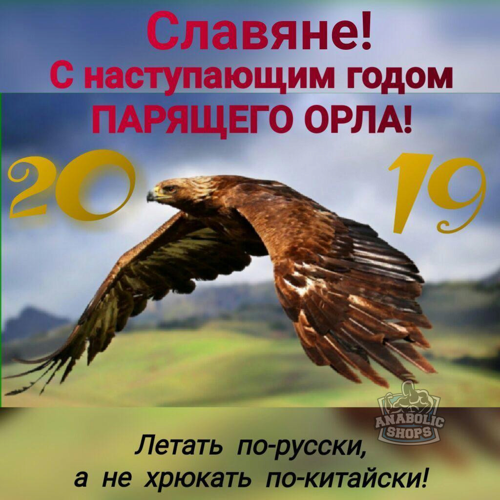 Новостной дайджест за 03.01.2019 - Бодибилдинг форум AnabolicShops