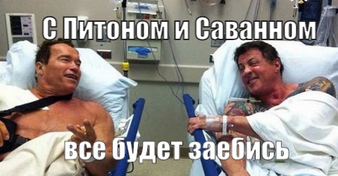 Новостной дайджест за 17.01.2019. - Бодибилдинг форум AnabolicShops