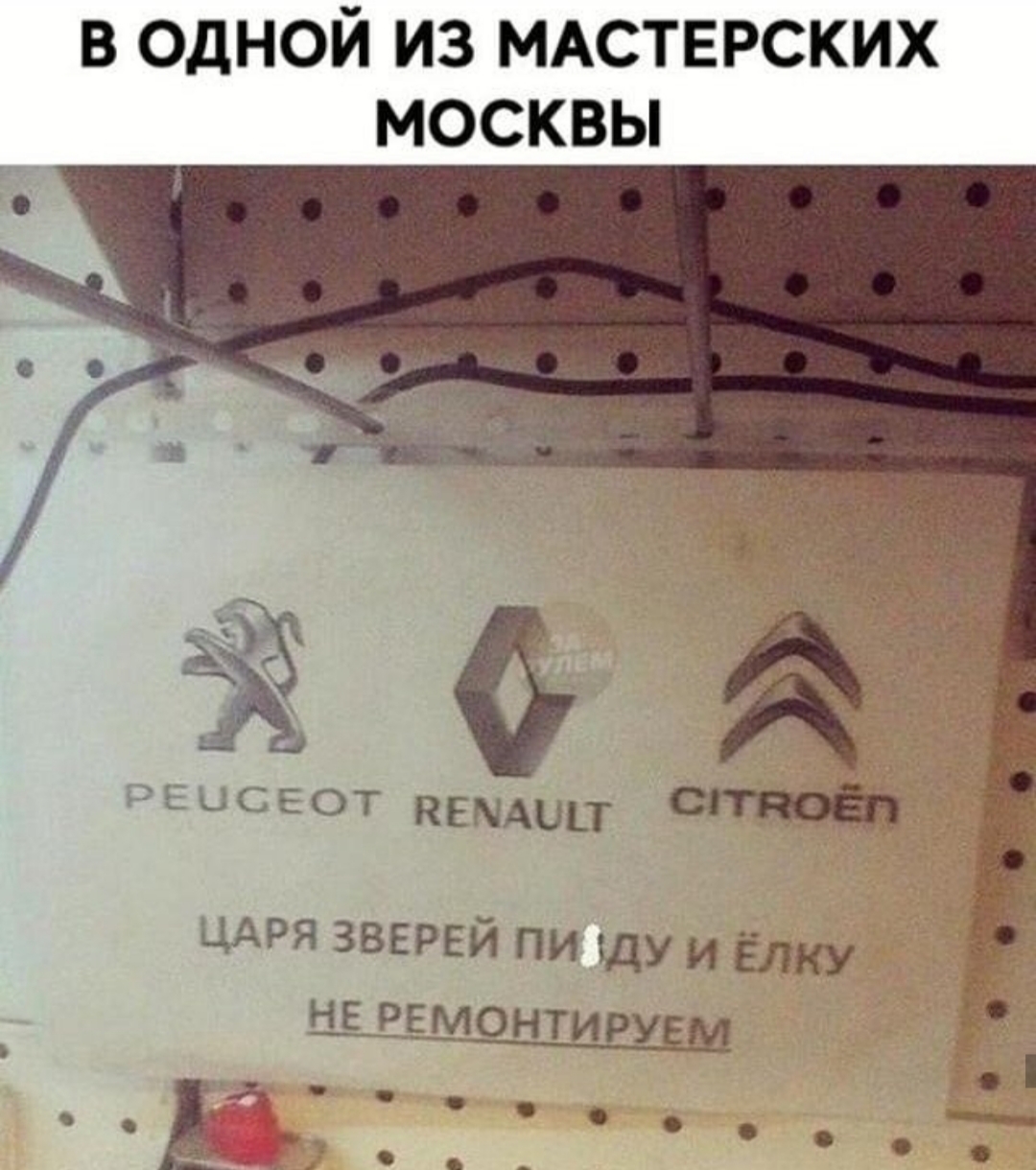 Анекдоты обо всем - Бодибилдинг форум AnabolicShops
