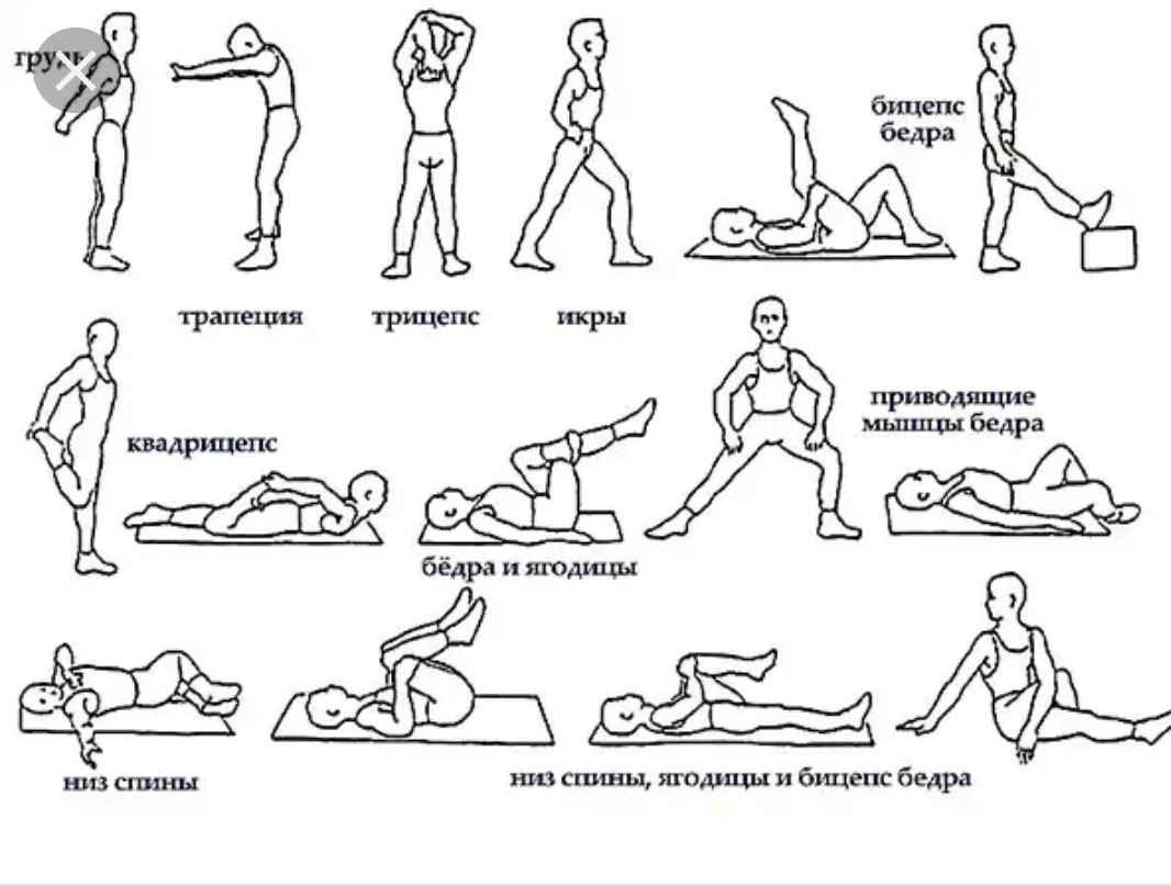 Ardent и Mayskaya - взрывная парочка на сушке - Бодибилдинг форум AnabolicShops