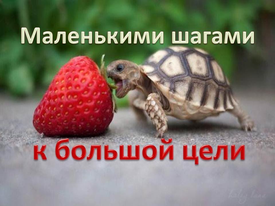 Ardent и Mayskaya - взрывная парочка на сушке - Бодибилдинг форум AnabolicShops