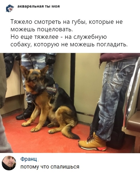 Анекдоты обо всем - Бодибилдинг форум AnabolicShops