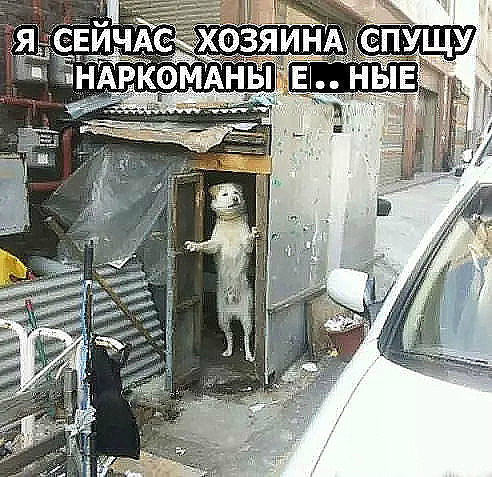 Анекдоты обо всем - Бодибилдинг форум AnabolicShops