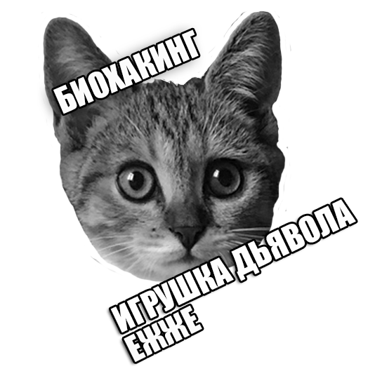 ПВРЛФТНГ Mr. Rikoshet бложик 2.0 - Бодибилдинг форум AnabolicShops
