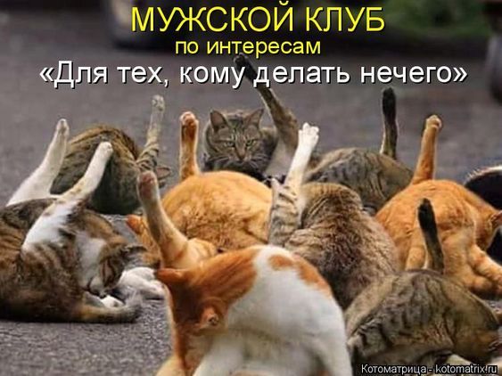 Курилка- разговоры на любые темы - Бодибилдинг форум AnabolicShops