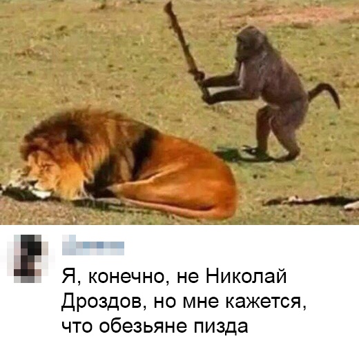 Курилка- разговоры на любые темы - Бодибилдинг форум AnabolicShops