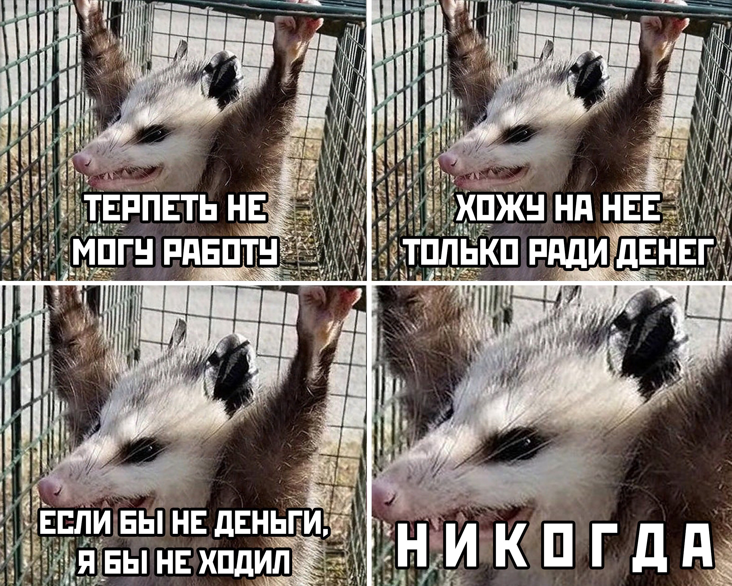 UltraPharm - это качественная фармакология с большим ассортиментом. - Бодибилдинг форум AnabolicShops