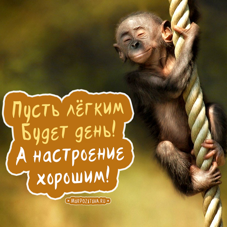 UltraPharm - это качественная фармакология с большим ассортиментом. - Бодибилдинг форум AnabolicShops