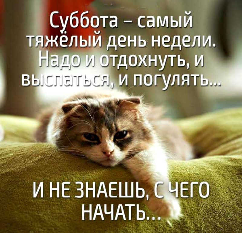 Интернет Магазин nadopinge.com - Бодибилдинг форум AnabolicShops