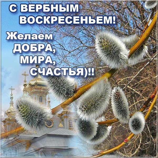 Интернет Магазин nadopinge.com - Бодибилдинг форум AnabolicShops