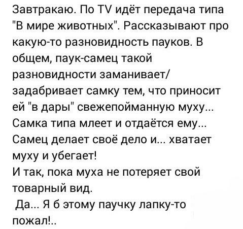 Анекдоты обо всем - Бодибилдинг форум AnabolicShops