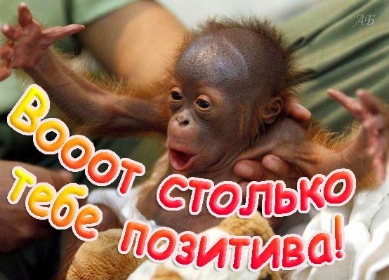 UltraPharm - это качественная фармакология с большим ассортиментом. - Бодибилдинг форум AnabolicShops