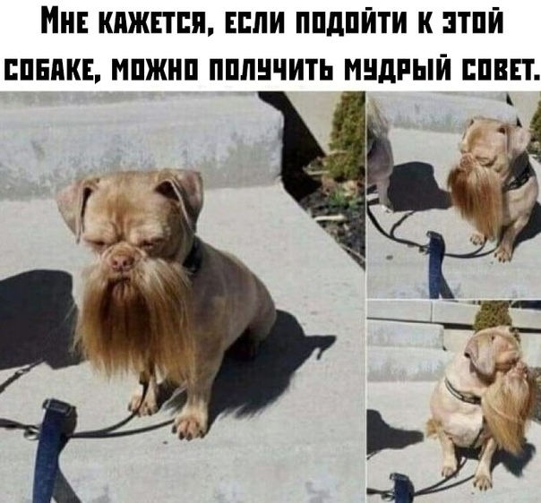 Курилка- разговоры на любые темы - Бодибилдинг форум AnabolicShops