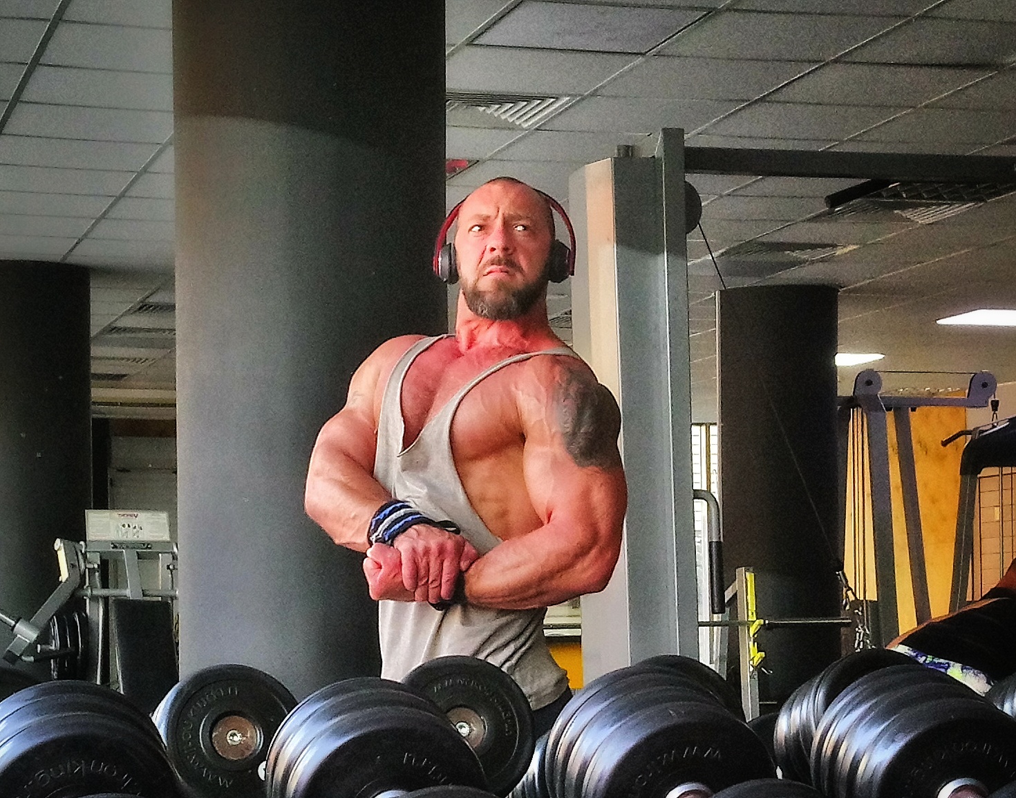 Футболка для интернет качка или "Who is who?" - Бодибилдинг форум AnabolicShops