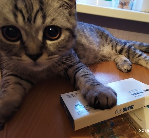 Liming Pharm | Химзавод №7  - Официальный Представитель! - Бодибилдинг форум AnabolicShops