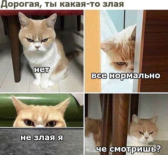 Курилка- разговоры на любые темы - Бодибилдинг форум AnabolicShops