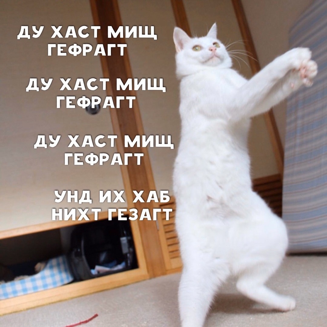 DevilsPharm.in.th - Бодибилдинг форум AnabolicShops